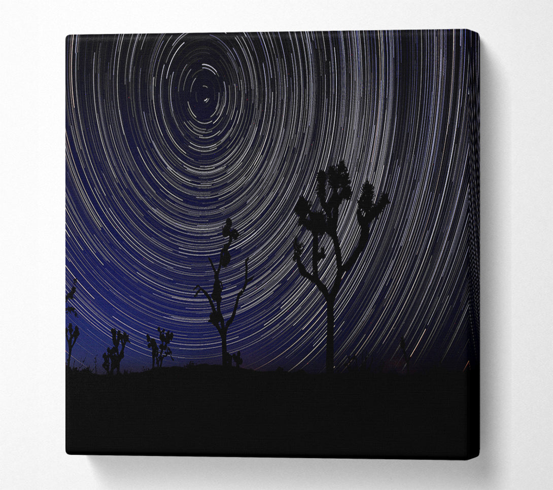  A Canvas Print of Vortex Trees 1 Canvas Wall Art
