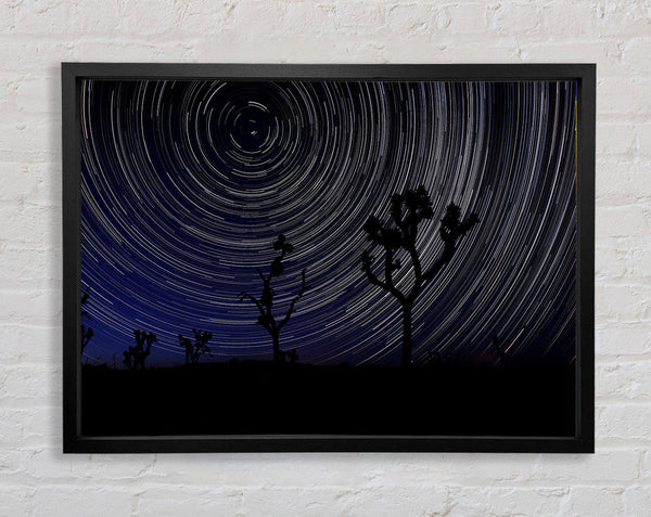 Vortex Trees 1 Framed Print