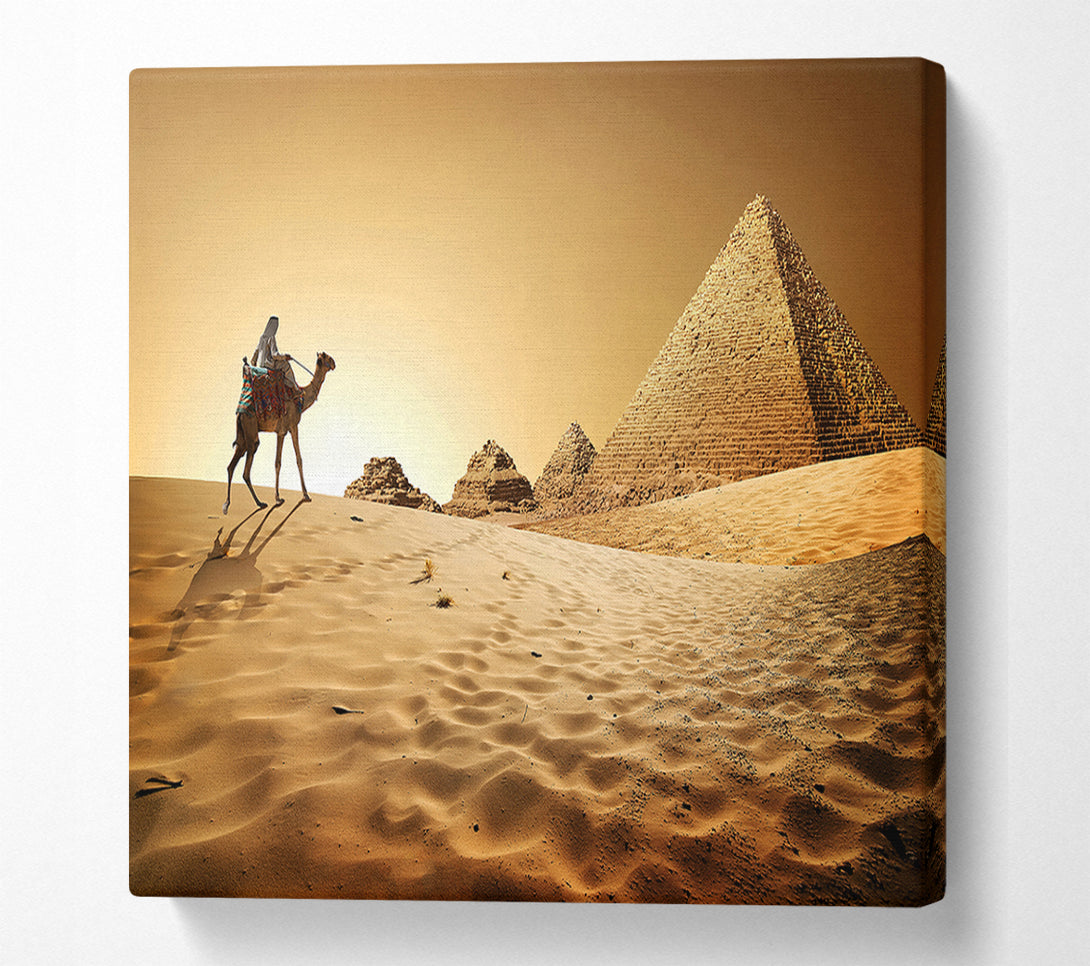  A Canvas Print of Caramel Camel Pyramids Canvas Art