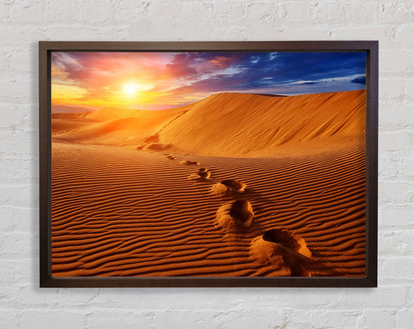 Footprints In The Desert Sun Framed Print