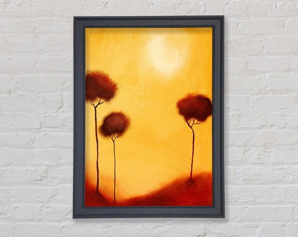 Cotton Tree Sun Framed Print