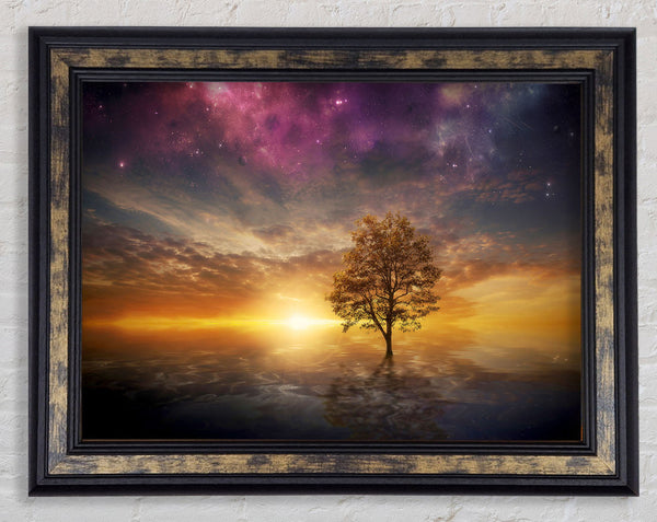 Tree In The Universal Skies Framed Print