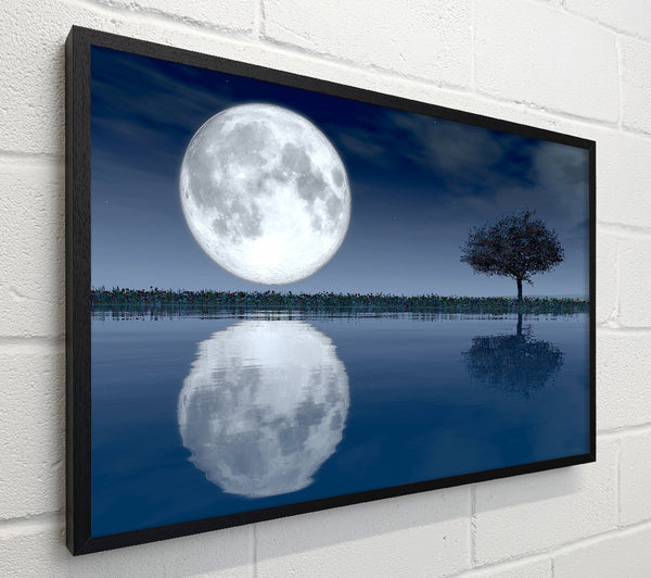 Moon Reflection