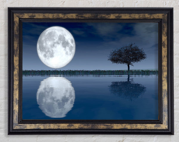 Moon Reflection Framed Print