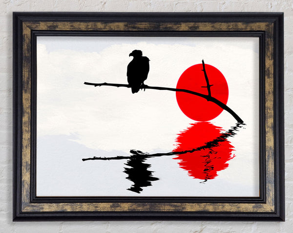 Reflections Of The Red Sun Eagle Framed Print