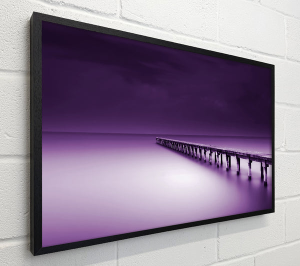 Purple Calm