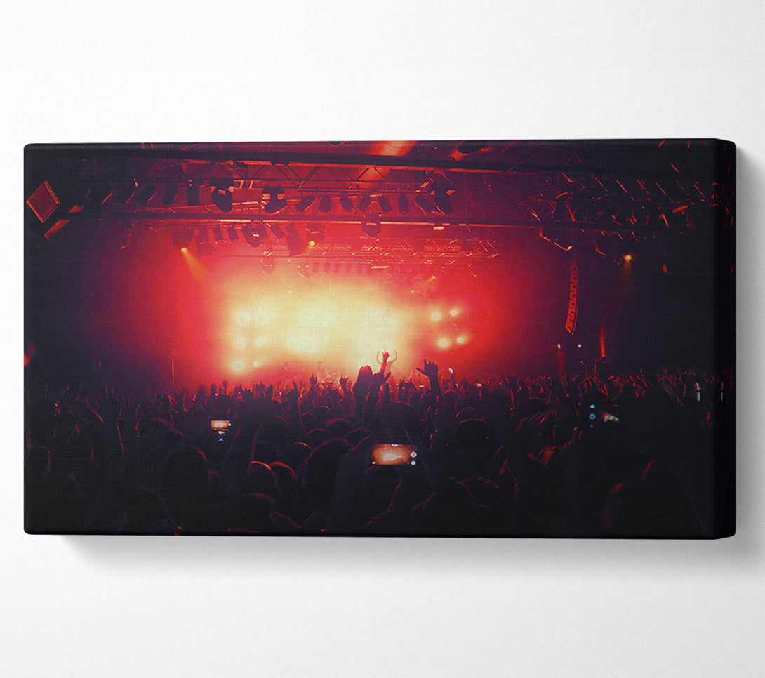  A Canvas Print of Going Wild Canvas Wall Art