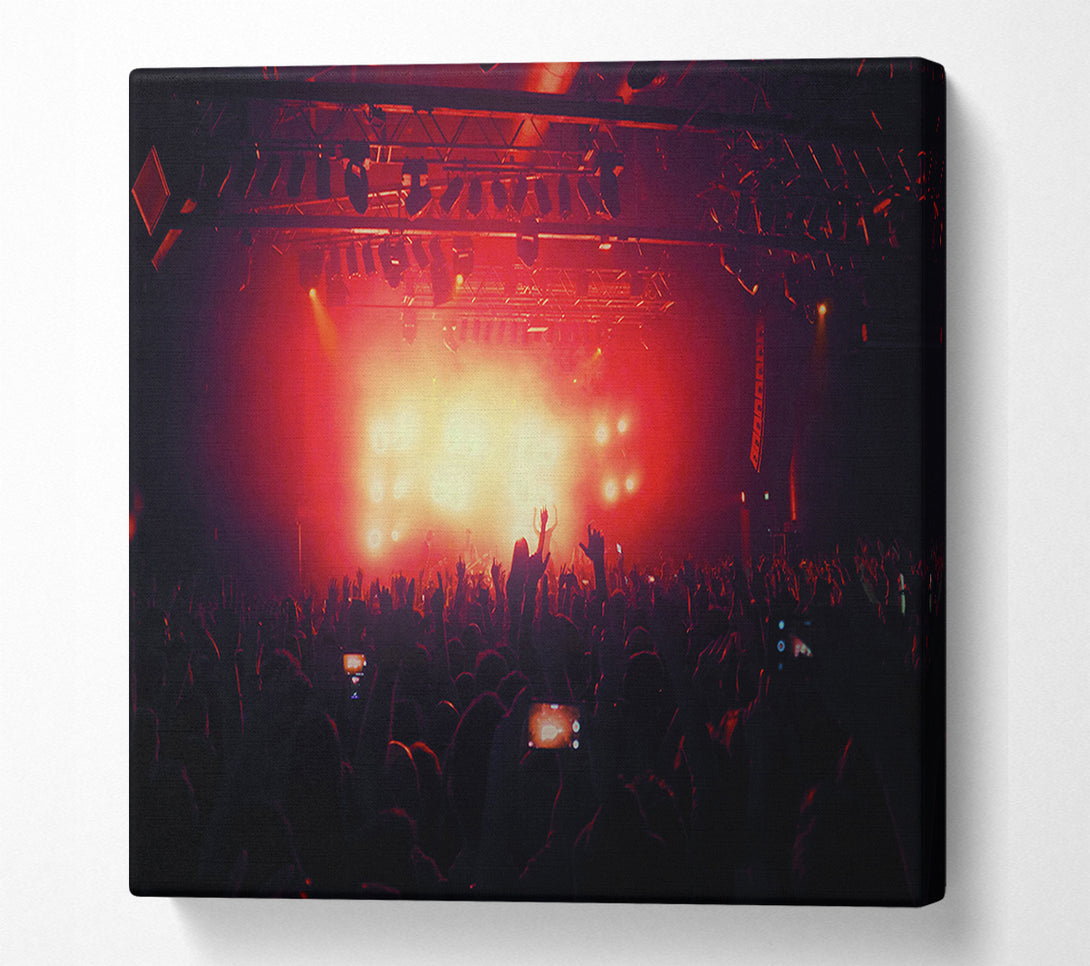  A Canvas Print of Going Wild Canvas Wall Art
