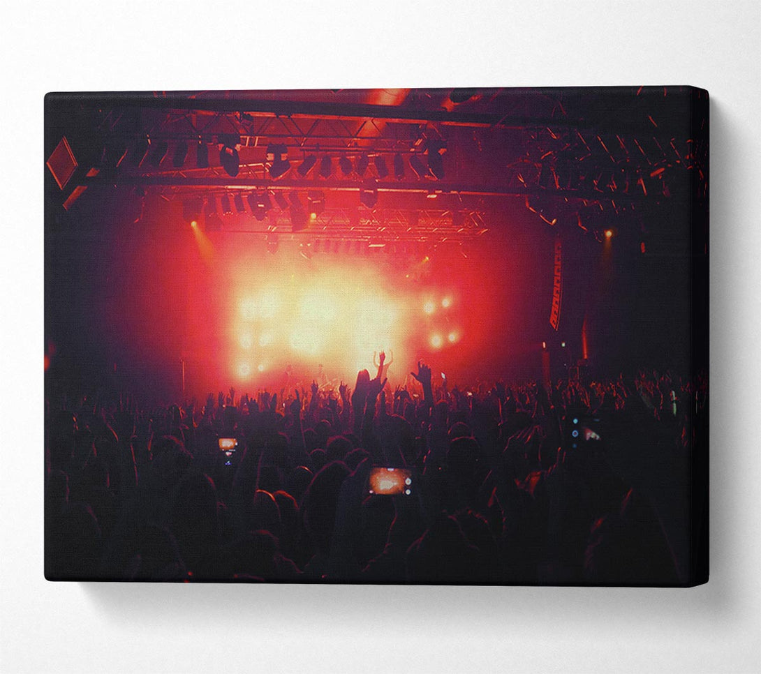  A Canvas Print of Going Wild Canvas Wall Art