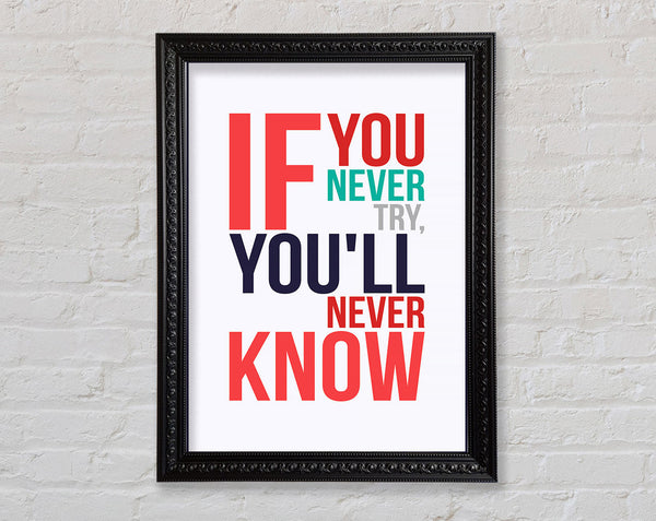 If You Never Try 1 Framed Print