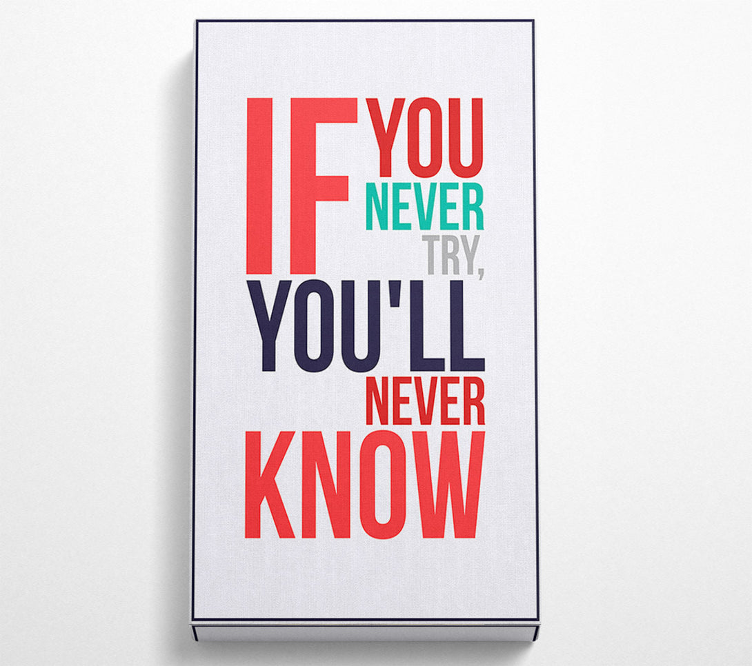 A Canvas Print of If You Never Try 1 Canvas Wall Art