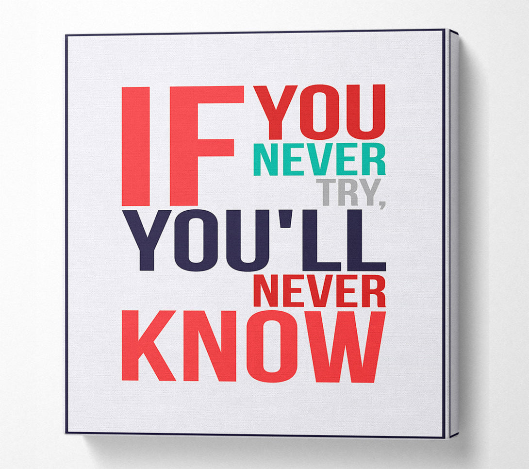  A Canvas Print of If You Never Try 1 Canvas Wall Art