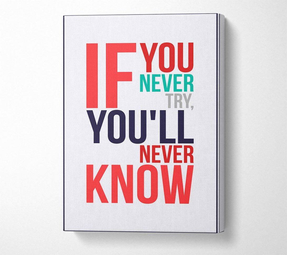  A Canvas Print of If You Never Try 1 Canvas Wall Art
