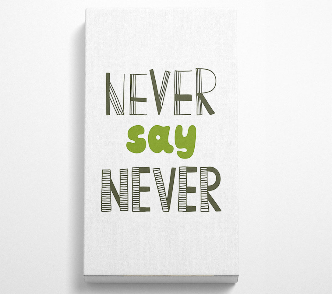  A Canvas Print of Never Say Never 1 Canvas Wall Art