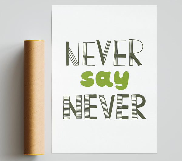 Never Say Never 1 Poster