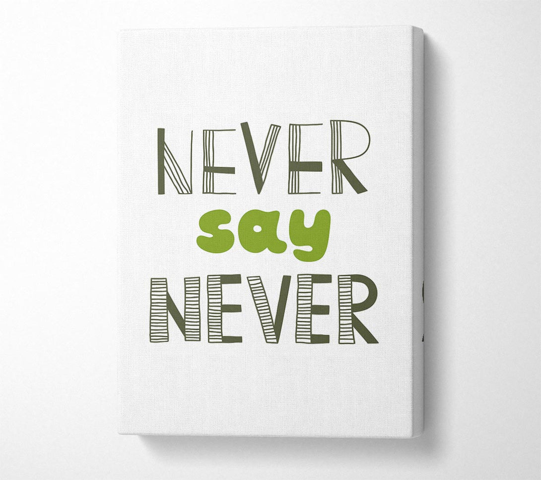  A Canvas Print of Never Say Never 1 Canvas Wall Art