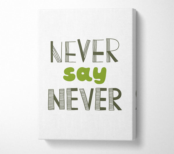  A Canvas Print of Never Say Never 1 Canvas Wall Art