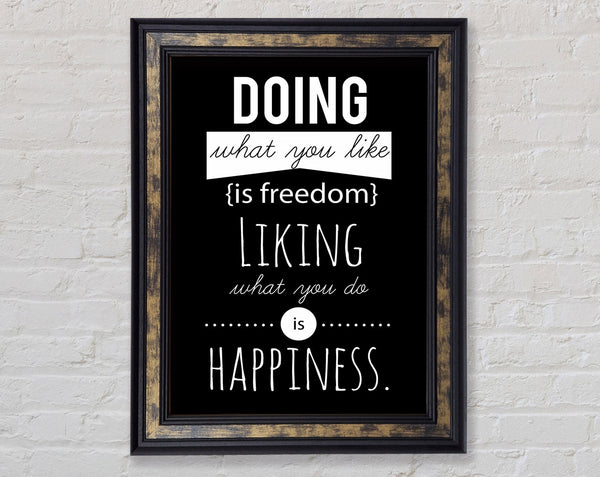 Doing What You Like Is Freedom Framed Print