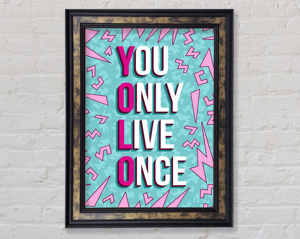 You Only Live Once Framed Print