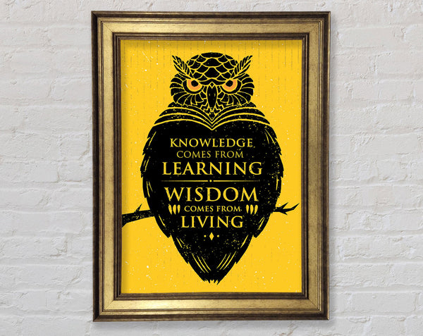 Knowledge And Wisdom Framed Print