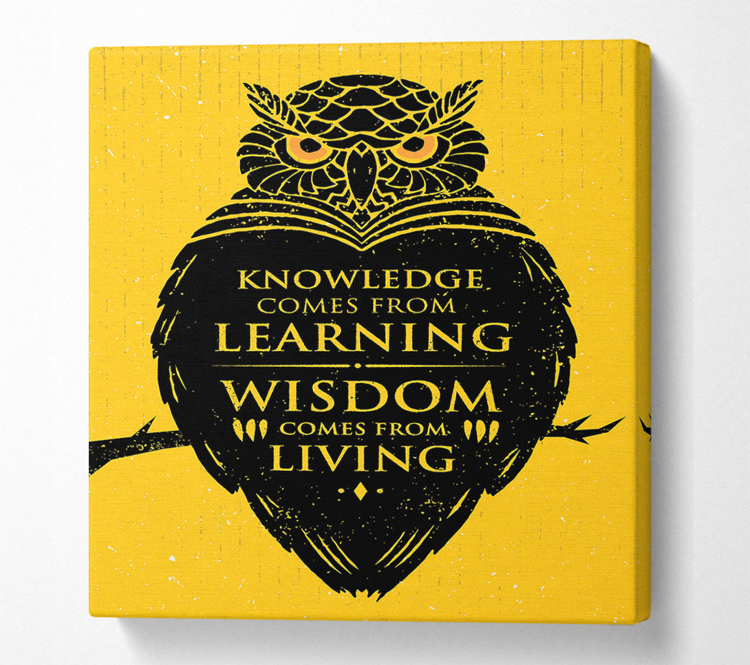  A Canvas Print of Knowledge And Wisdom Canvas Art