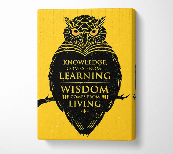  A Canvas Print of Knowledge And Wisdom Canvas Art