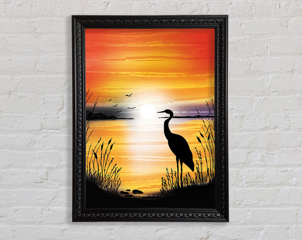 Beautiful Crane At Sunset Framed Print