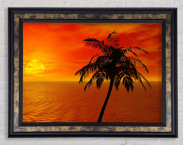 Palm Tree Ocean Sun Framed Print