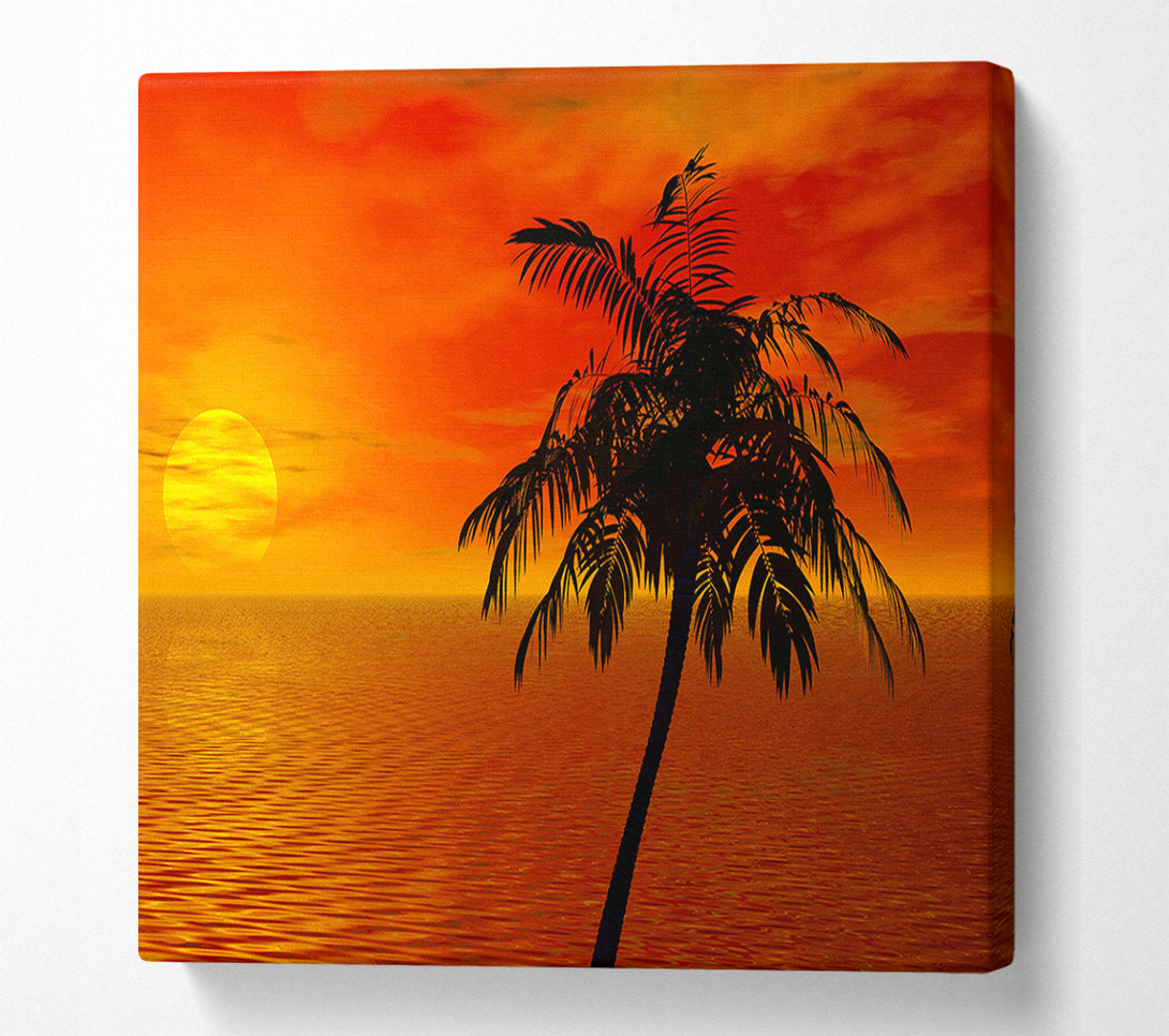  A Canvas Print of Palm Tree Ocean Sun Canvas Print