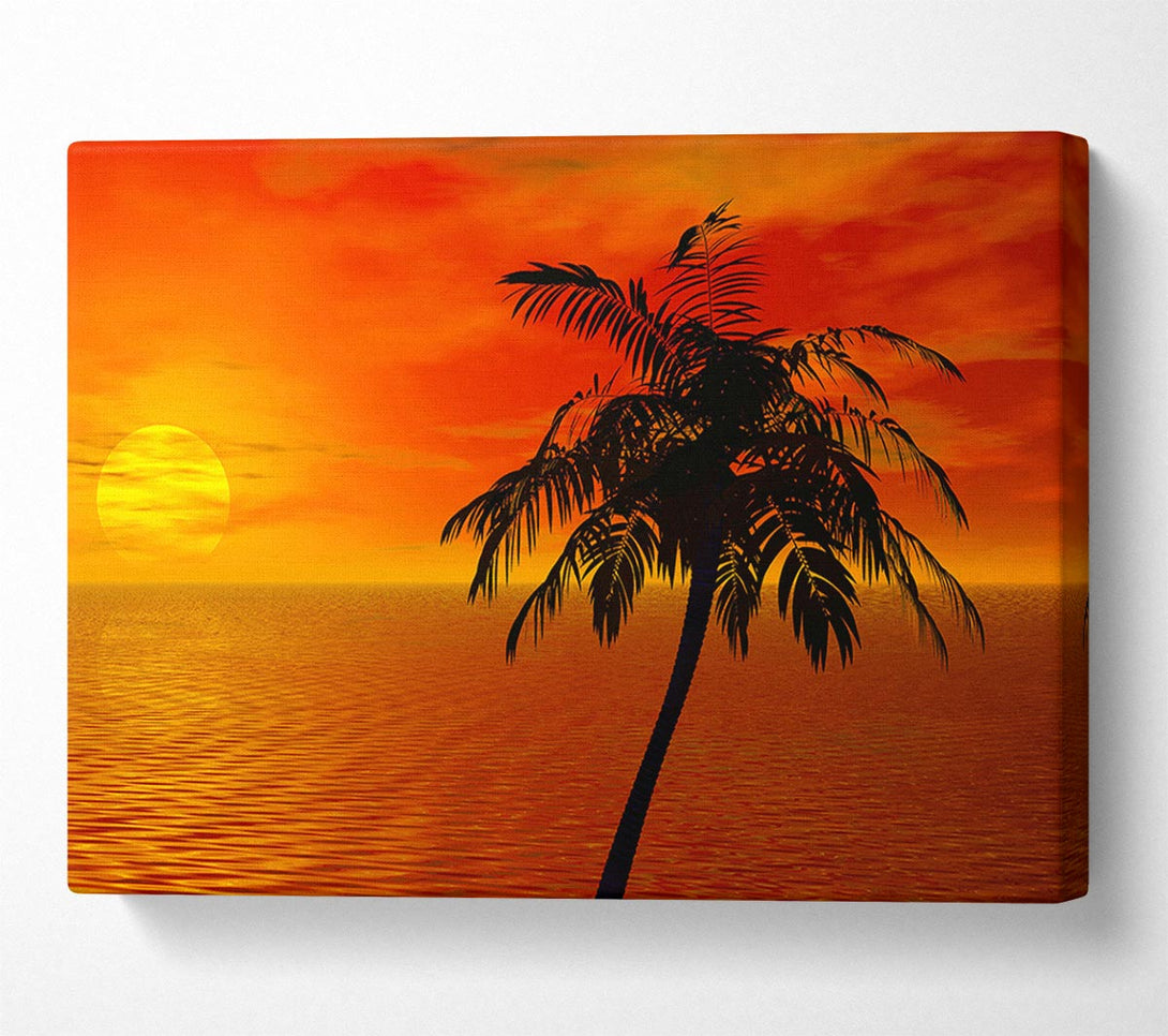  A Canvas Print of Palm Tree Ocean Sun Canvas Print