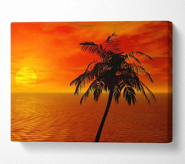  A Canvas Print of Palm Tree Ocean Sun Canvas Print