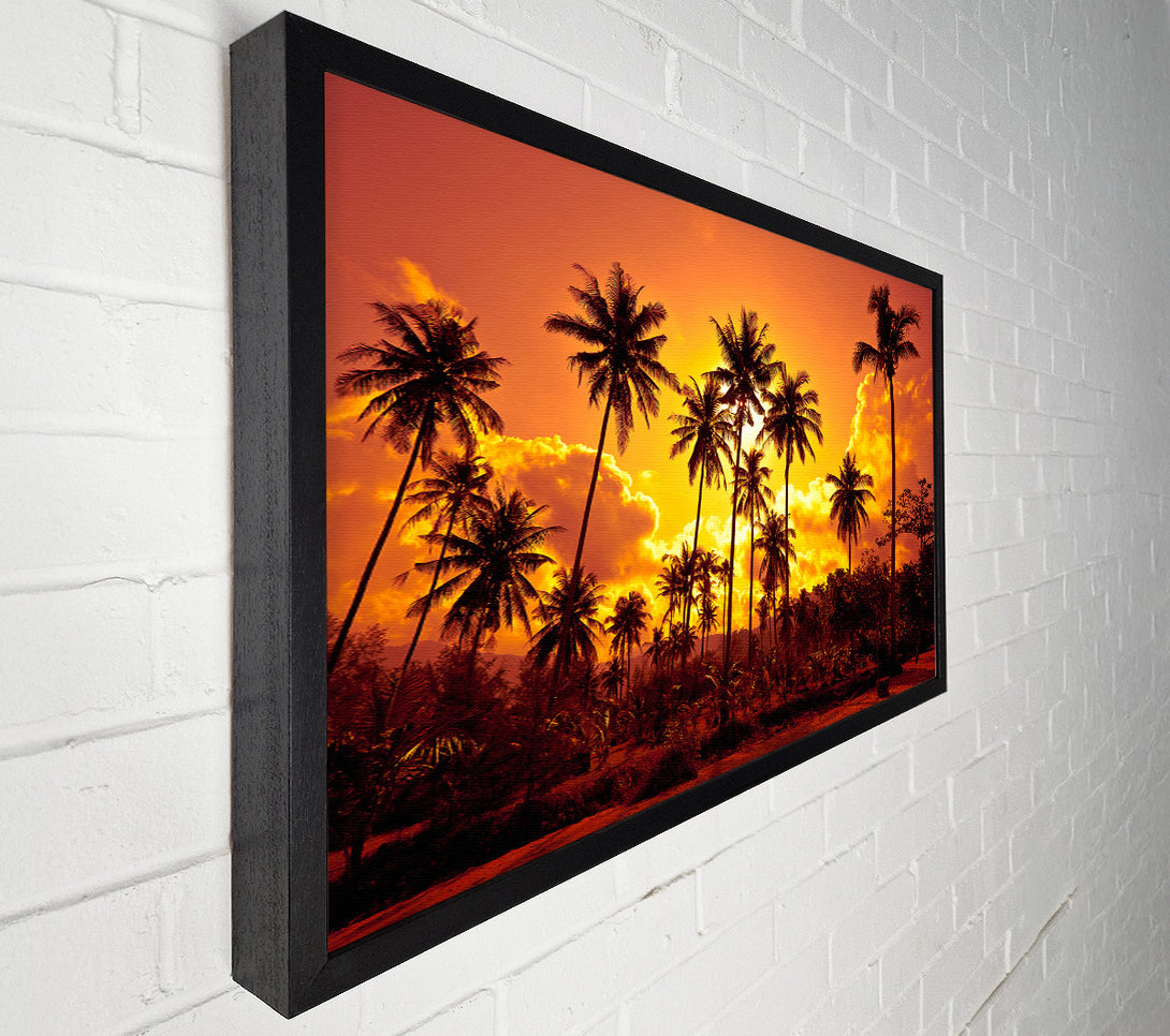  A Canvas Print of Sun Behind The Palm Trees Canvas Art