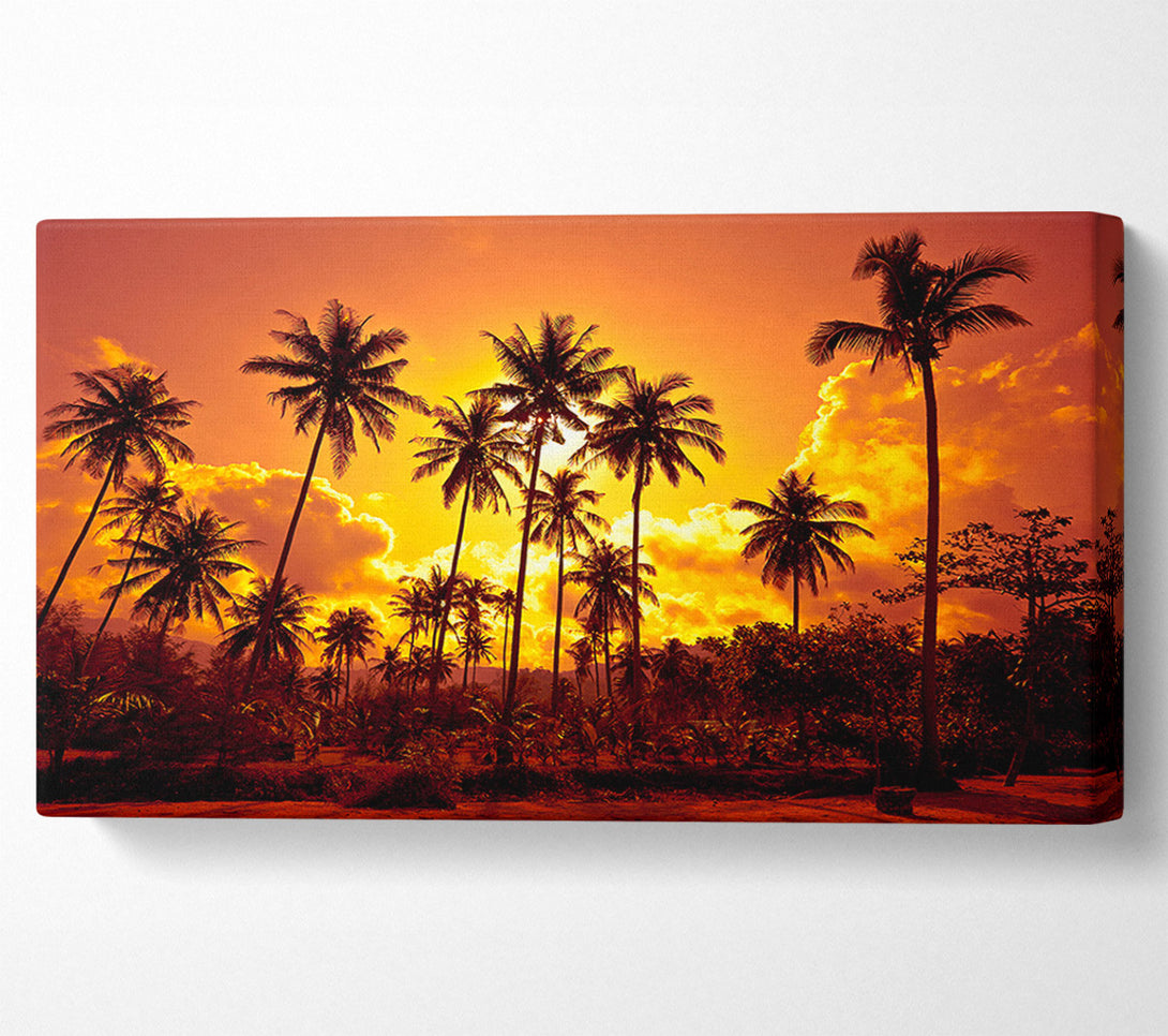  A Canvas Print of Sun Behind The Palm Trees Canvas Art