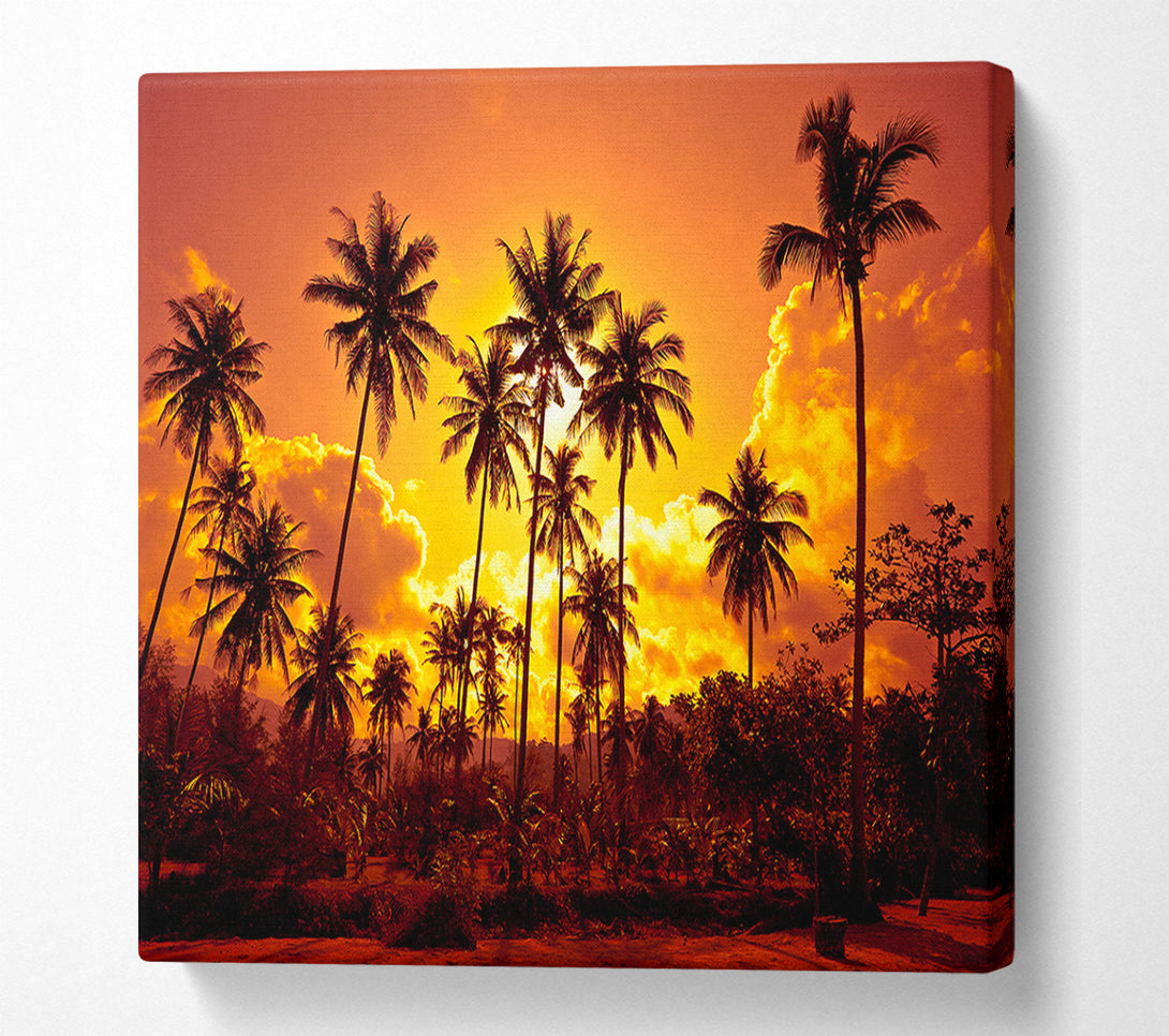  A Canvas Print of Sun Behind The Palm Trees Canvas Art