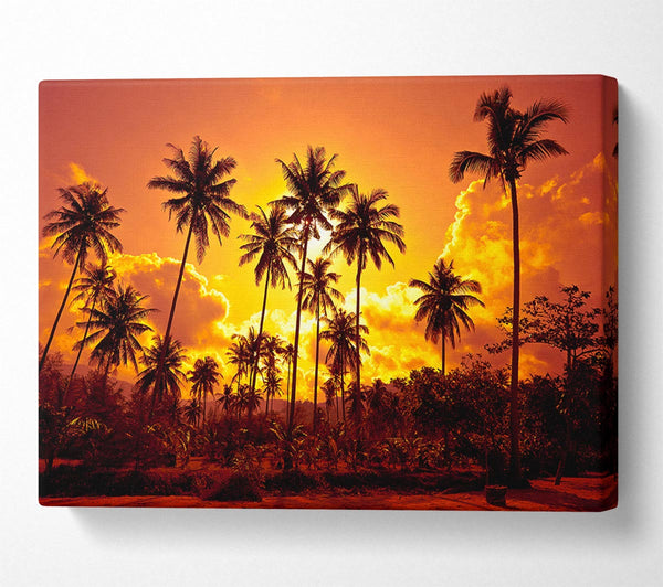  A Canvas Print of Sun Behind The Palm Trees Canvas Art