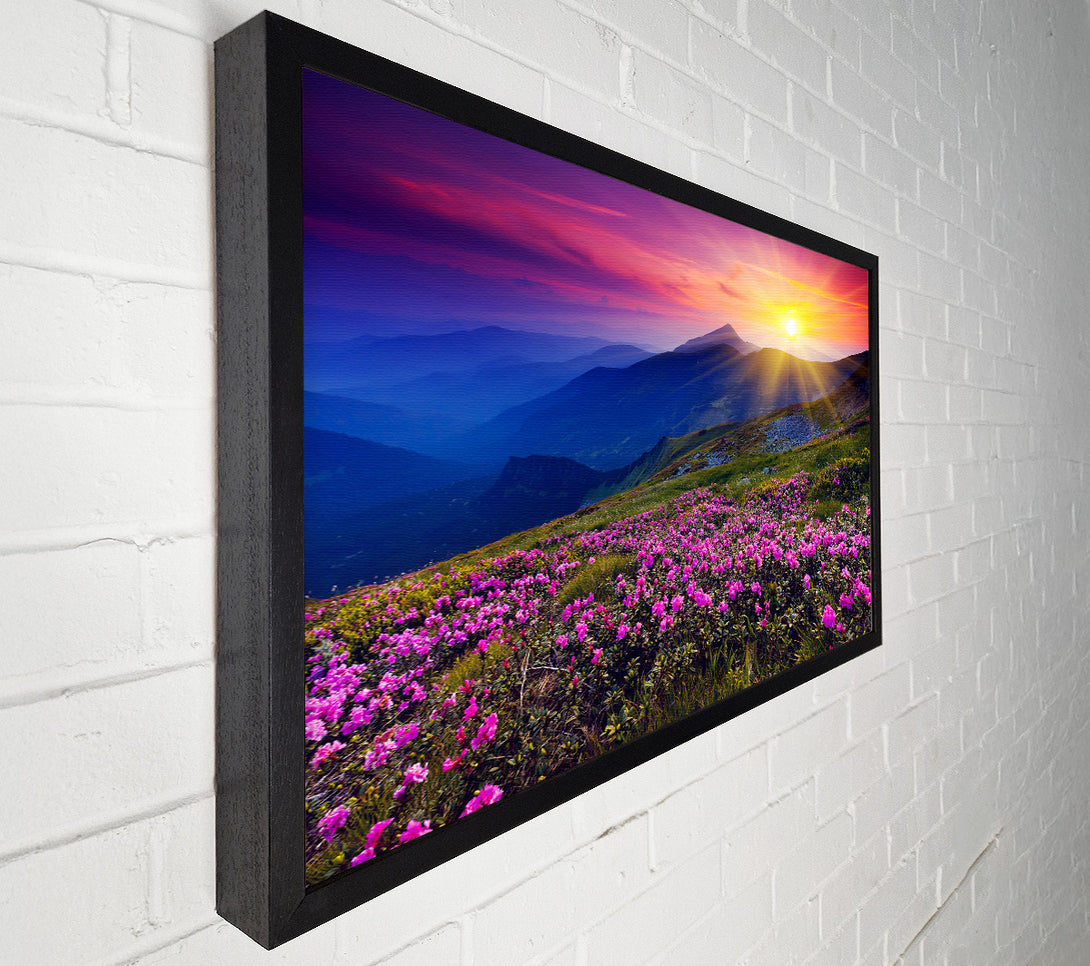  A Canvas Print of Sunrays Over The Pink Flower Mountain Canvas Wall Art