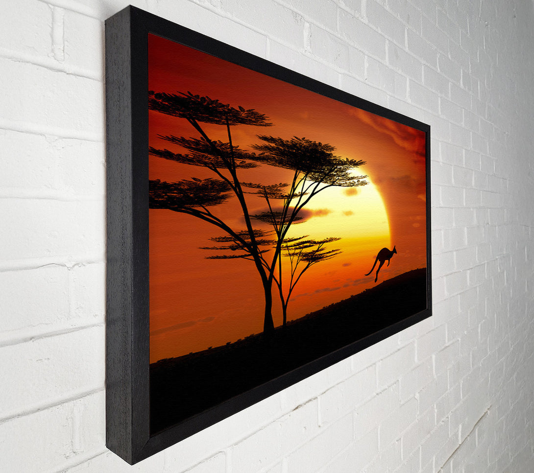  A Canvas Print of Kangaroo Sun Glow Canvas Art