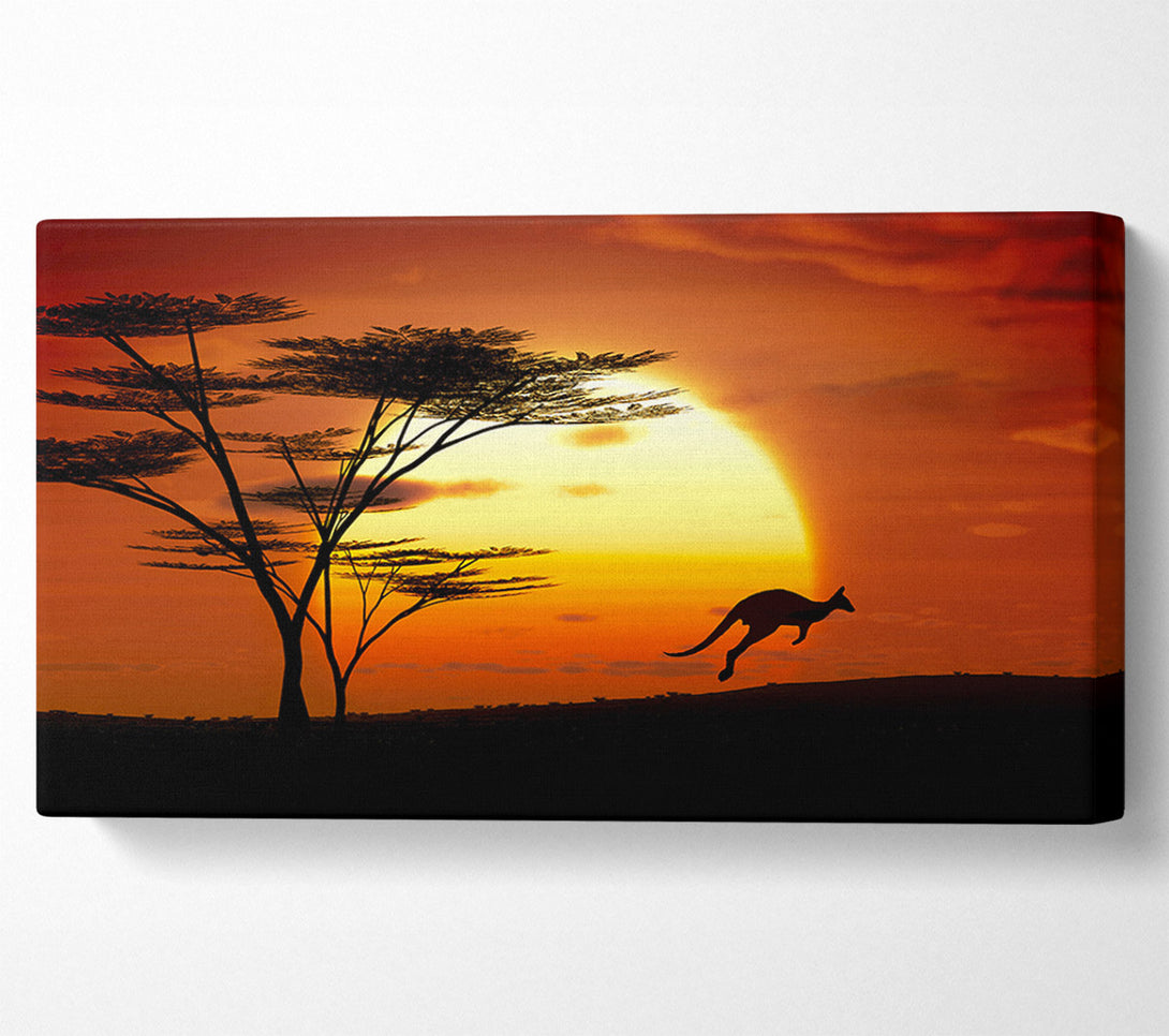  A Canvas Print of Kangaroo Sun Glow Canvas Art