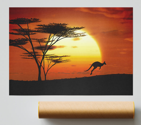 Kangaroo Sun Glow Print
