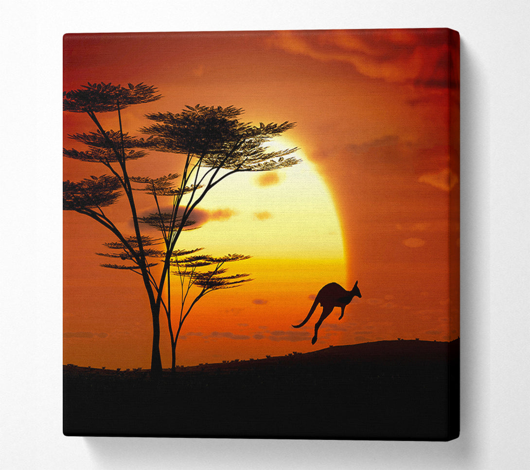  A Canvas Print of Kangaroo Sun Glow Canvas Art