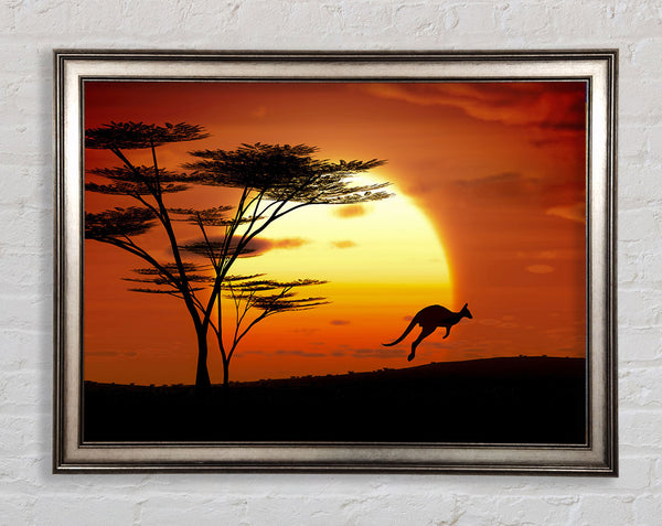 Kangaroo Sun Glow Framed Print