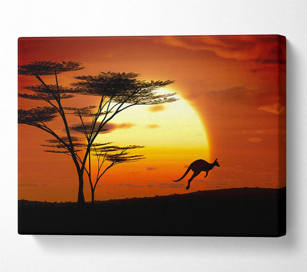  A Canvas Print of Kangaroo Sun Glow Canvas Art