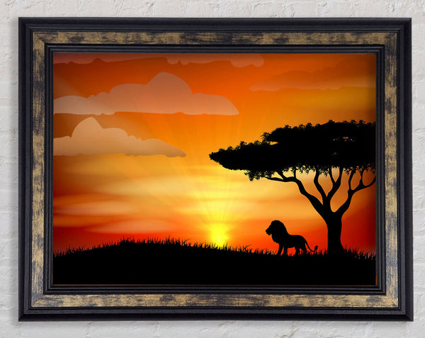 King Of The Jungle Sun Blaze Framed Print