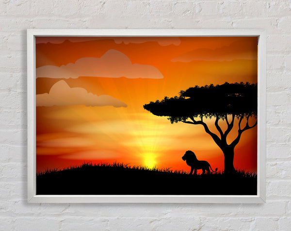 King Of The Jungle Sun Blaze Framed Print