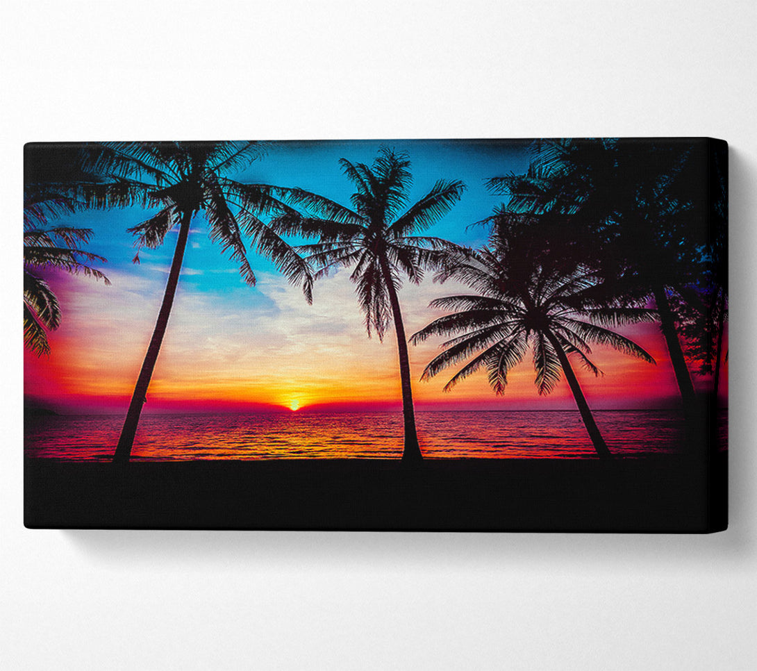  A Canvas Print of As The Sun Goes Down Between The Palm Trees Canvas Print