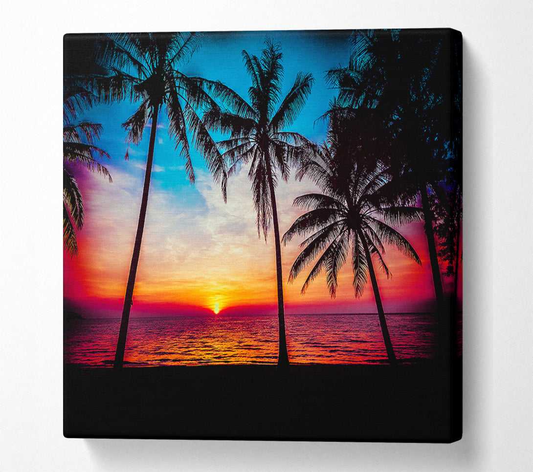  A Canvas Print of As The Sun Goes Down Between The Palm Trees Canvas Print