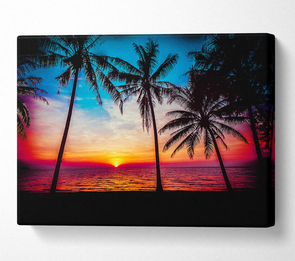  A Canvas Print of As The Sun Goes Down Between The Palm Trees Canvas Print