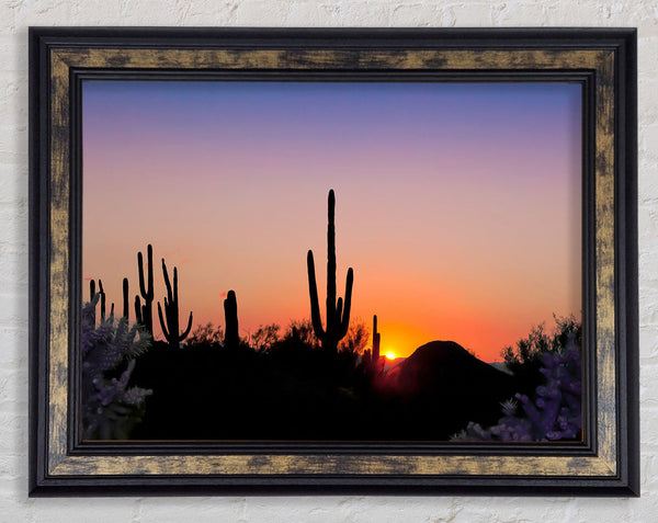Desert Sun Glow Framed Print