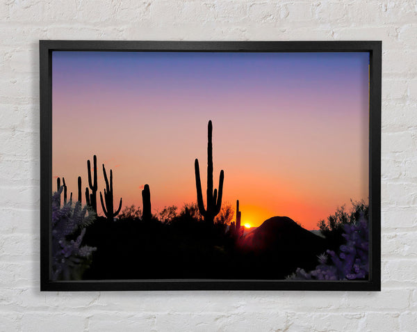 Desert Sun Glow Framed Print