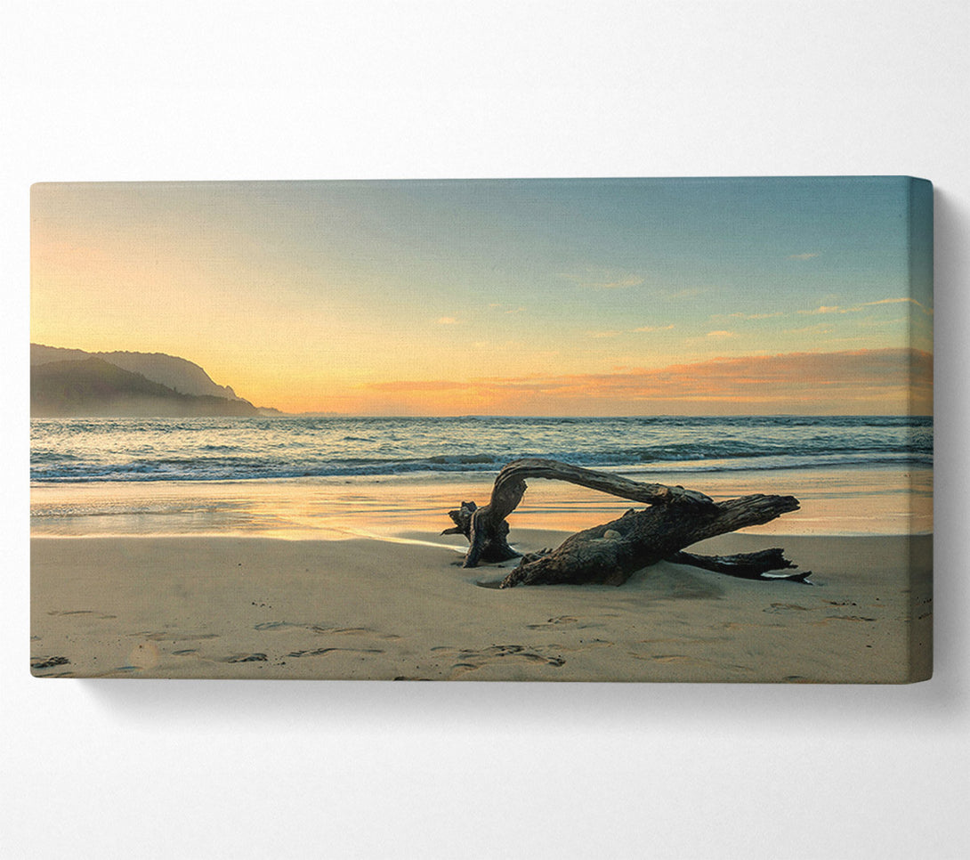  A Canvas Print of Driftwood Ocean Canvas Print